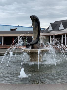 南知多ビーチランド＆南知多おもちゃ王国に投稿された画像（2023/10/16）