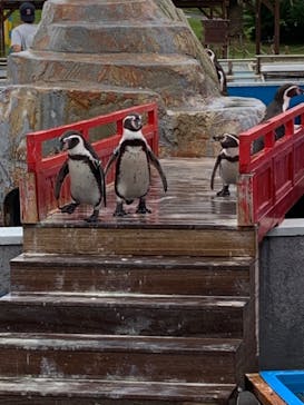 南知多ビーチランド＆南知多おもちゃ王国に投稿された画像（2023/10/16）