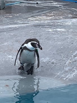 南知多ビーチランド＆南知多おもちゃ王国に投稿された画像（2023/10/16）