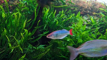 AOAO SAPPOROに投稿された画像（2023/10/16）