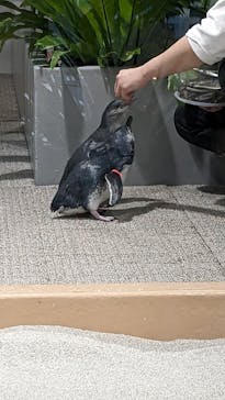 AOAO SAPPOROに投稿された画像（2023/10/16）