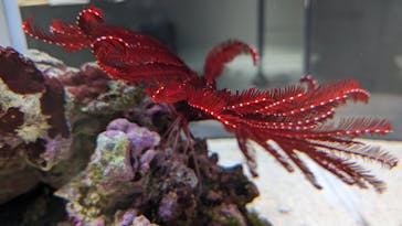 AOAO SAPPOROに投稿された画像（2023/10/16）