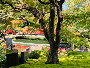 日本庭園　由志園に投稿された画像（2023/10/16）