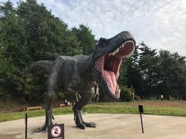 福井県立恐竜博物館に投稿された画像（2023/10/16）