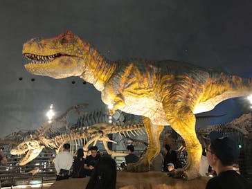 福井県立恐竜博物館に投稿された画像（2023/10/16）
