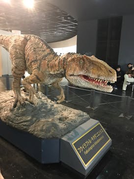 福井県立恐竜博物館に投稿された画像（2023/10/16）