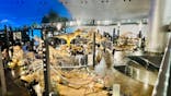 福井県立恐竜博物館に投稿された画像（2023/10/16）