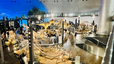 福井県立恐竜博物館に投稿された画像（2023/10/16）