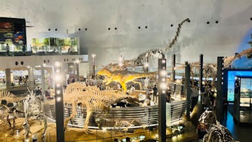 福井県立恐竜博物館に投稿された画像（2023/10/16）