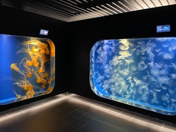 鴨川シーワールドに投稿された画像（2023/10/16）