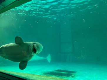 鴨川シーワールドに投稿された画像（2023/10/16）