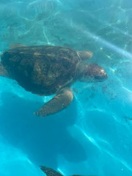 鴨川シーワールドに投稿された画像（2023/10/16）