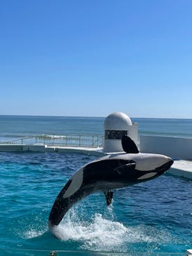 鴨川シーワールドに投稿された画像（2023/10/16）