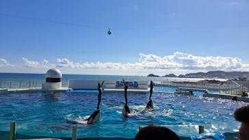 鴨川シーワールドに投稿された画像（2023/10/16）