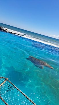 鴨川シーワールドに投稿された画像（2023/10/16）