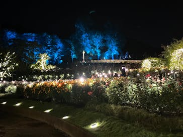 いばらきフラワーパークに投稿された画像（2023/10/16）