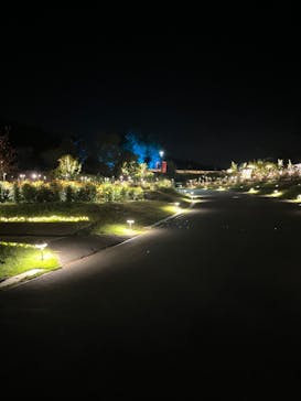 いばらきフラワーパークに投稿された画像（2023/10/16）