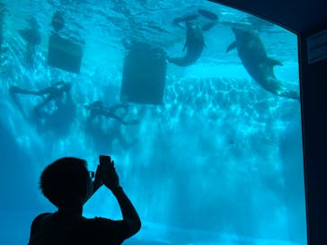 名古屋港水族館に投稿された画像（2023/10/16）
