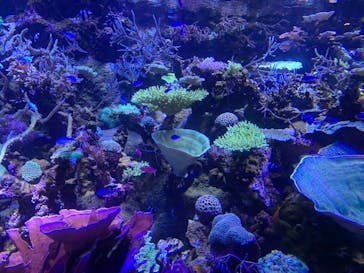 名古屋港水族館に投稿された画像（2023/10/16）