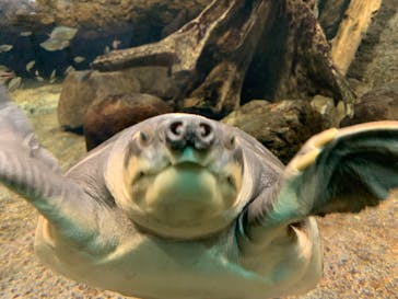 名古屋港水族館に投稿された画像（2023/10/16）