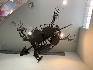 名古屋港水族館に投稿された画像（2023/10/16）