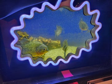 NARA KINGYO MUSEUMに投稿された画像（2023/10/16）