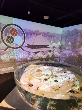 NARA KINGYO MUSEUMに投稿された画像（2023/10/16）