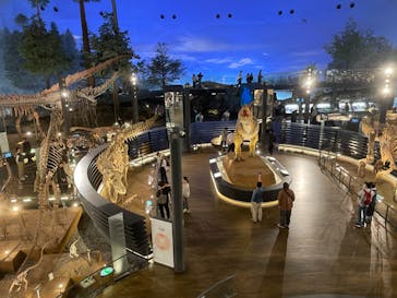 福井県立恐竜博物館に投稿された画像（2023/10/16）