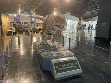 福井県立恐竜博物館に投稿された画像（2023/10/16）