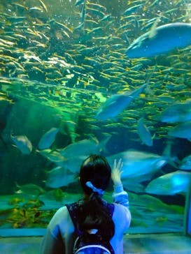 登別マリンパークニクスに投稿された画像（2023/10/16）