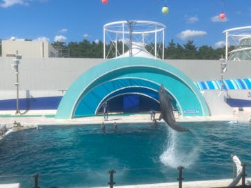 鴨川シーワールドに投稿された画像（2023/10/16）