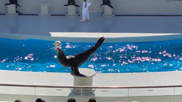 鴨川シーワールドに投稿された画像（2023/10/16）