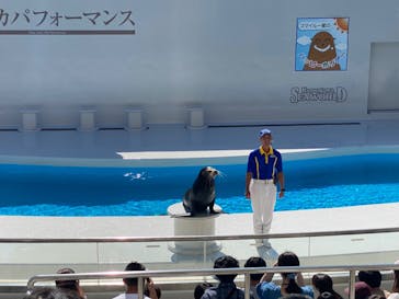 鴨川シーワールドに投稿された画像（2023/10/16）