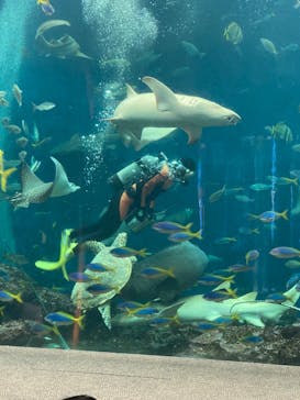 鴨川シーワールドに投稿された画像（2023/10/16）