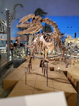 福井県立恐竜博物館に投稿された画像（2023/10/16）