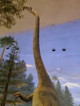 福井県立恐竜博物館に投稿された画像（2023/10/16）