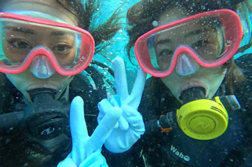 武藤潜水に投稿された画像（2023/10/17）