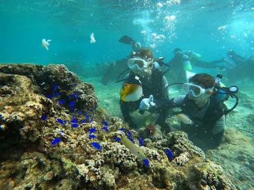 武藤潜水に投稿された画像（2023/10/17）