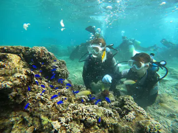 武藤潜水に投稿された画像（2023/10/17）