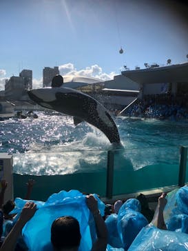 鴨川シーワールドに投稿された画像（2023/10/17）