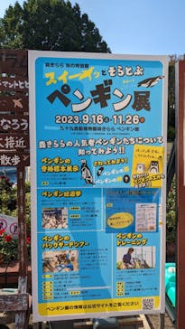 九十九島動植物園森きららに投稿された画像（2023/10/17）