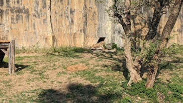 九十九島動植物園森きららに投稿された画像（2023/10/17）