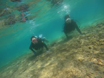 武藤潜水に投稿された画像（2023/10/17）