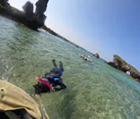 武藤潜水に投稿された画像（2023/10/17）