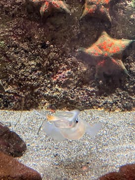 鴨川シーワールドに投稿された画像（2023/10/17）