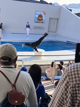 鴨川シーワールドに投稿された画像（2023/10/17）