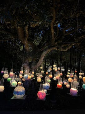 江の島シーキャンドルに投稿された画像（2023/10/17）