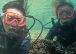 武藤潜水に投稿された画像（2023/10/17）
