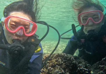 武藤潜水に投稿された画像（2023/10/17）