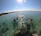 武藤潜水に投稿された画像（2023/10/17）